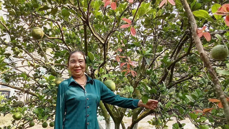 Không nghĩ mình là “tuổi cao sức yếu”