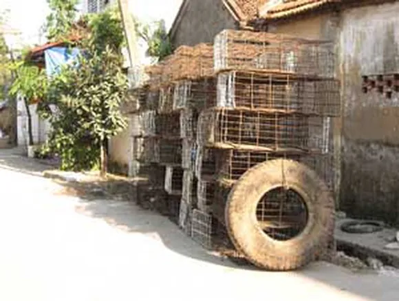 Lãnh đạo TP Hội An và đại diện FOUR FAWS trao văn bản ký kết thỏa thuận không buôn bán thịt chó, mèo trên địa bàn thành phố
