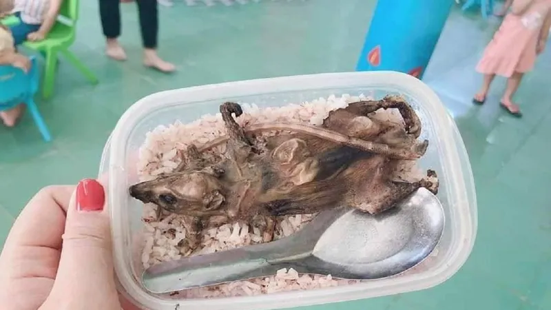 Hình ảnh hộp cơm lan truyền trên mạng xã hội có từ năm 2019. Ảnh: F.B 