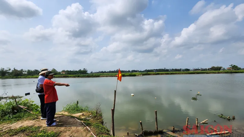 Quảng Nam: Hàng chục ngàn hộ dân lo lúa mất mùa vì thiếu nước tưới