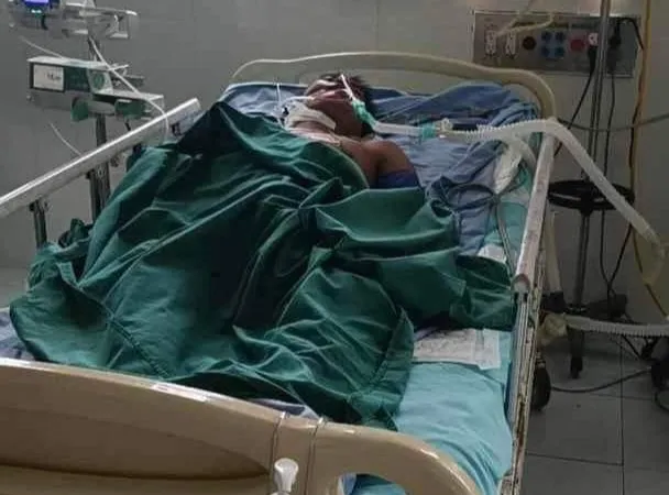 Quảng Nam: Người đàn ông nguy kịch do bị ong vò vẽ đốt