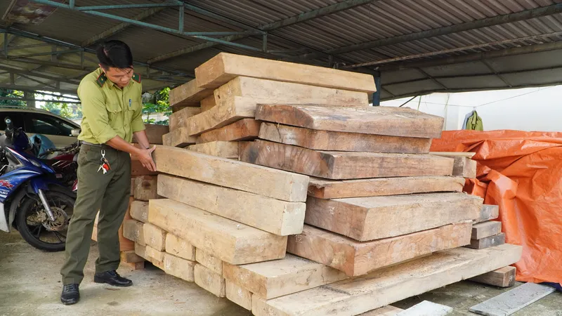 Quảng Nam: Yêu cầu giải trình vụ gỗ không có giấy tờ hợp pháp nằm trên đất Trưởng phòng Nội vụ