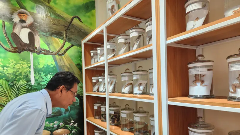 Quảng Nam đưa vào hoạt động Bảo tàng đa dạng sinh học cấp tỉnh đầu tiên trong cả nước