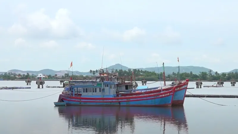 Quảng Nam: Một chủ tàu cá bị phạt 400 triệu đồng