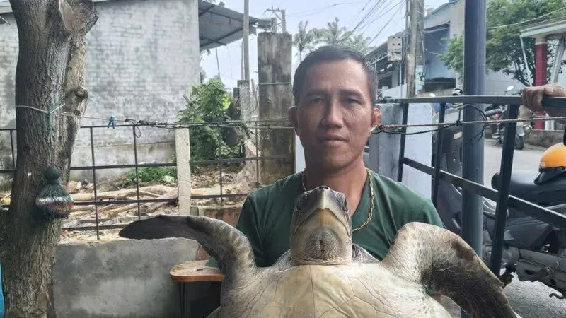 Đồi mồi dứa khoảng 17kg bị mắc vào lưới ngư dân