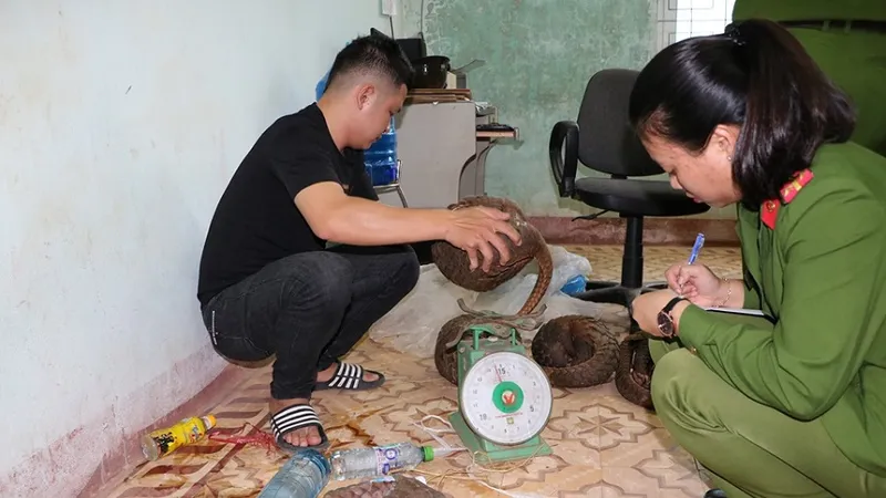 Nhận 20.000 đồng tiền công để vận chuyển 5 cá thể động vật quý hiếm