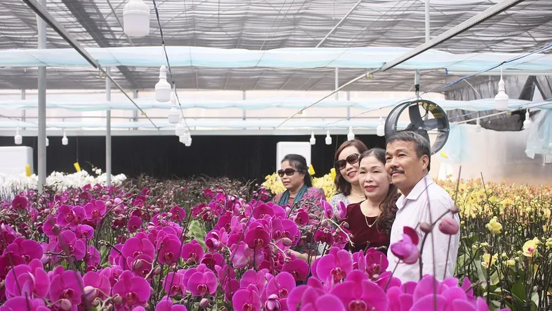 Sa Mù thu hút du khách cùng thương lái dịp cuối năm.