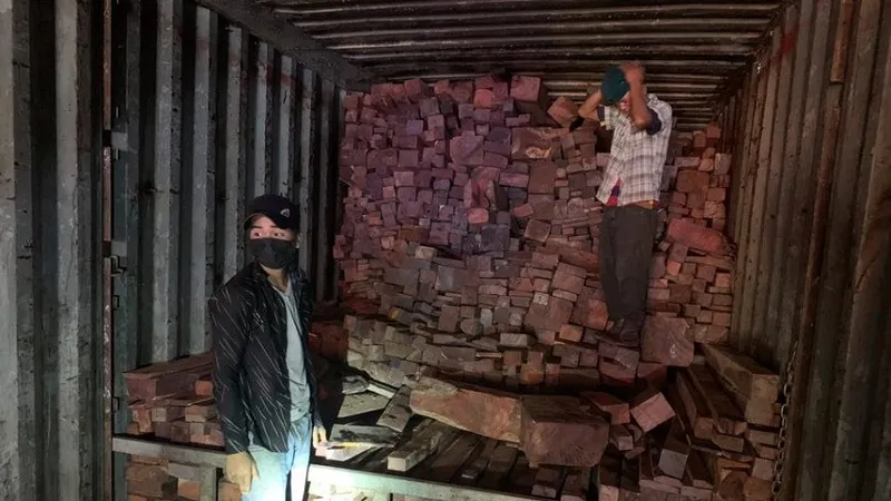 Quảng Trị: Phát hiện vụ buôn lậu gỗ, đá quý hiếm
