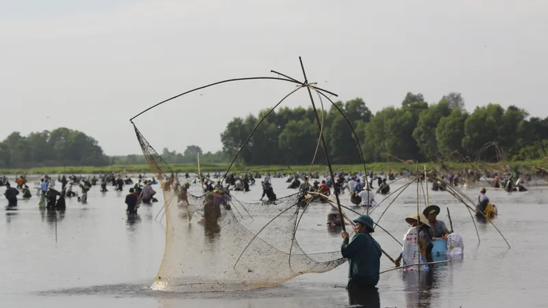 Hàng trăm người bì bõm lội bùn bắt cá ngày hội “phá trằm”