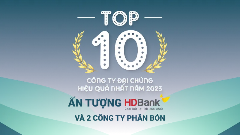 TOP 10 công ty đại chúng hiệu quả nhất năm 2023: Ấn tượng HDBank, Đạm Phú Mỹ và Hóa chất Đức Giang