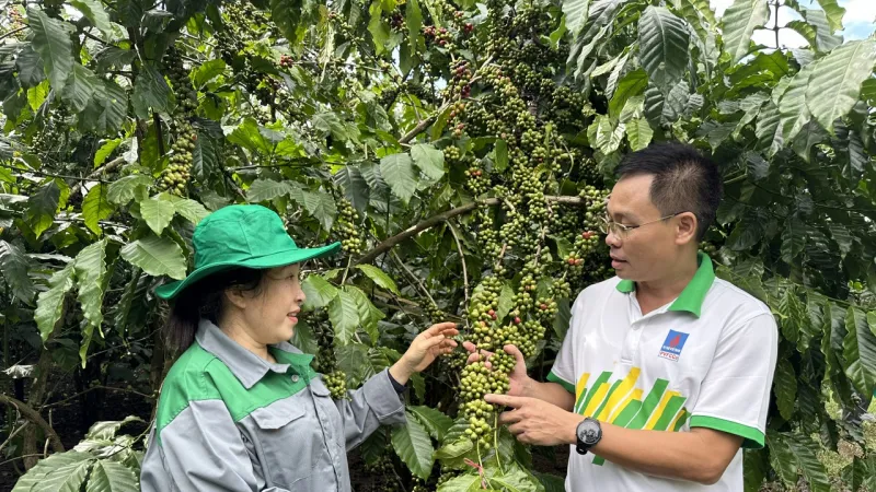 “Cho mùa bội thu” nhờ sử dụng phân bón hợp lý