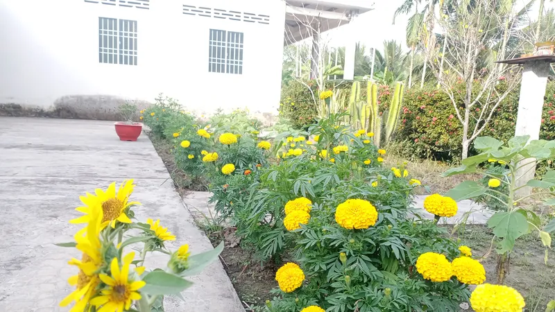 Nhớ hoài cảnh tát mương ăn Tết