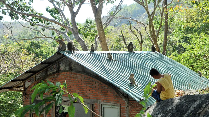 Kế hoạch tết của hai má con
