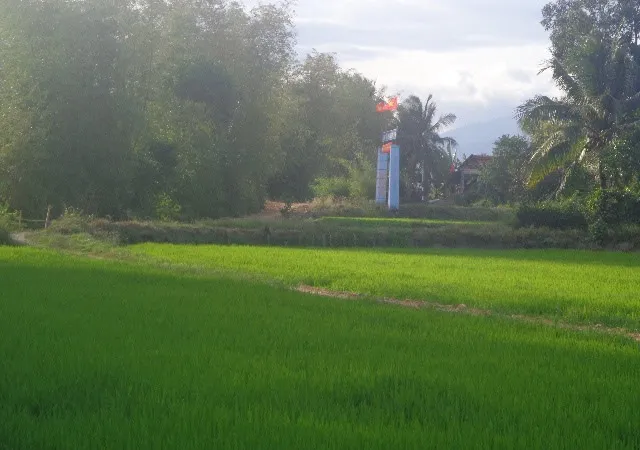 Con chở ba đi chúc Tết họ hàng