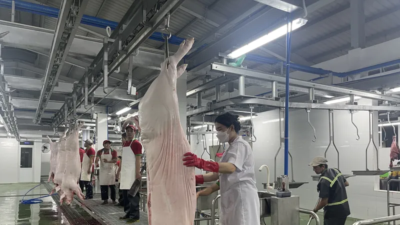 Nhà máy giết mổ đạt chuẩn công nghệ hiện đại TPHCM