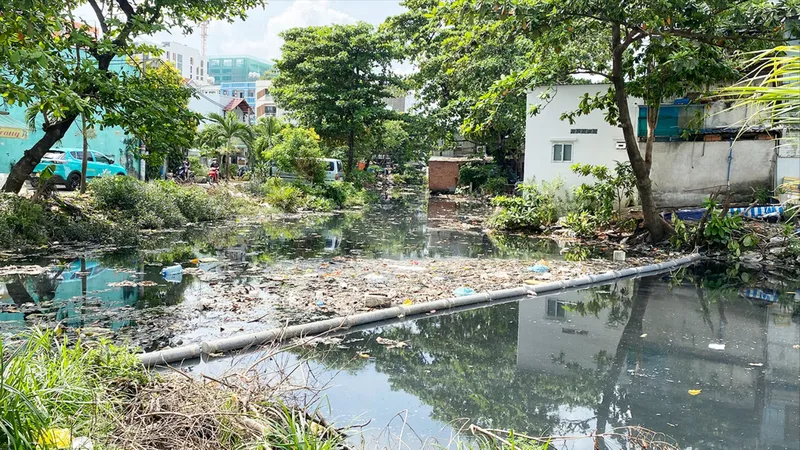 Phòng ngừa dịch sốt xuất huyết từ ô nhiễm kênh rạch