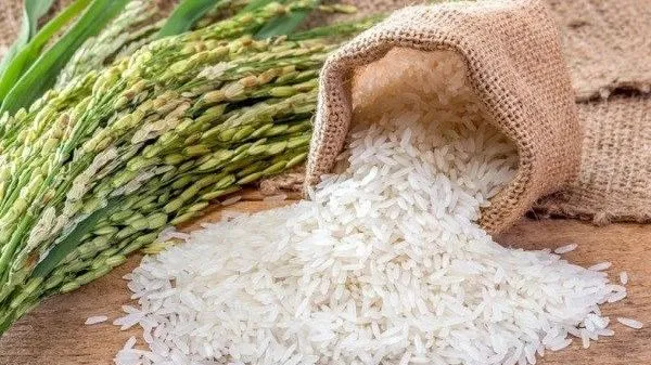 Làm nông phải khá