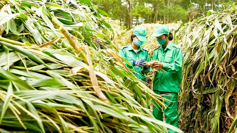 Tài chính xanh: Doanh nghiệp cần, pháp lý vẫn “đủng đỉnh”