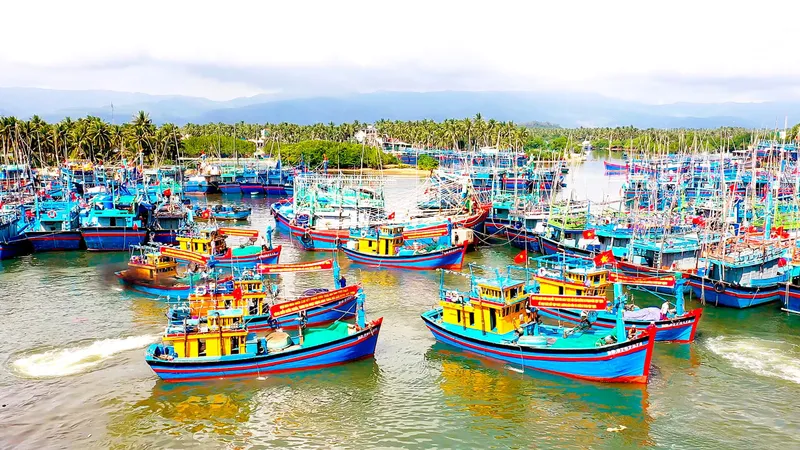Nỗ lực chống khai thác IUU, gỡ cảnh báo “thẻ vàng” EC
