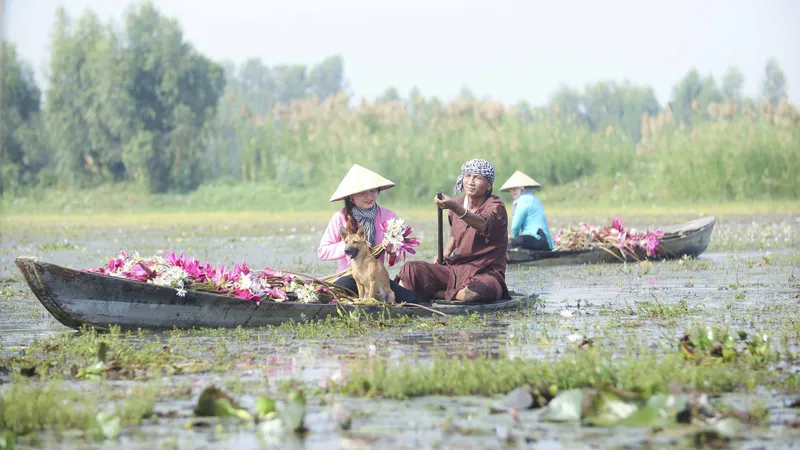Du lịch miền Tây “khoác áo mới” đón khách