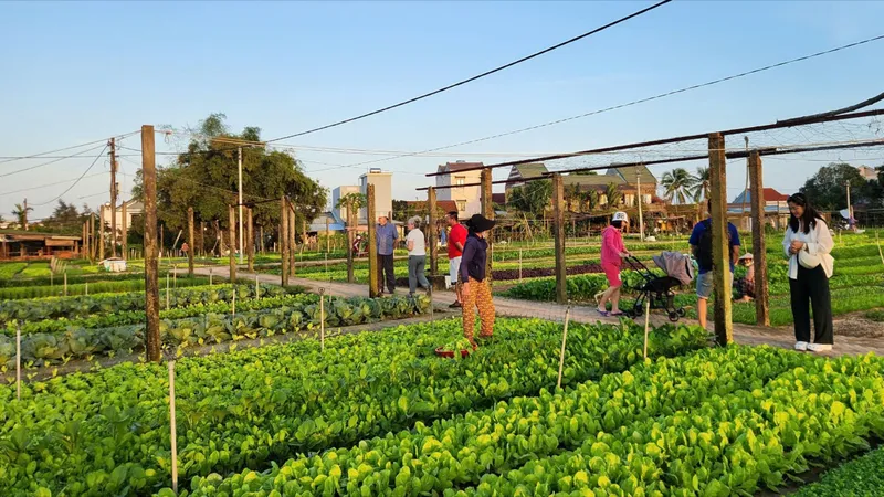 Du lịch nông nghiệp xanh: Điểm đến thu hút du khách