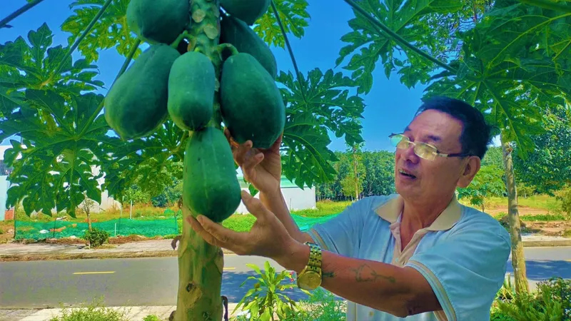 Cuộc sống mới ở khu tái định cư sân bay Long Thành