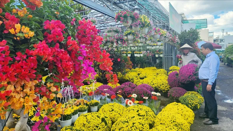 Thị trường hoa kiểng tết: Hồi hộp chờ khách mua