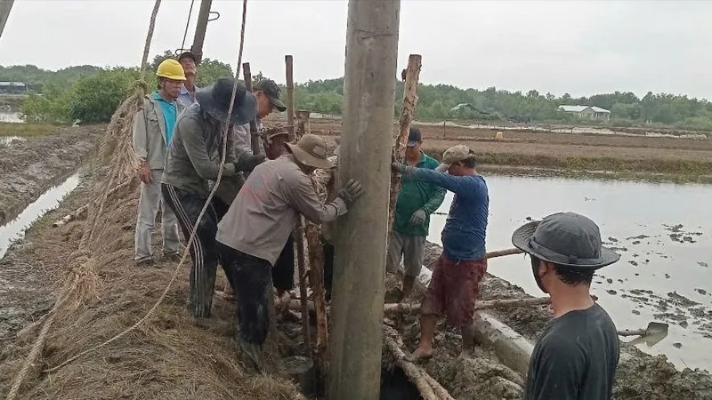 Niềm vui của người dân Cần Giờ khi có điện