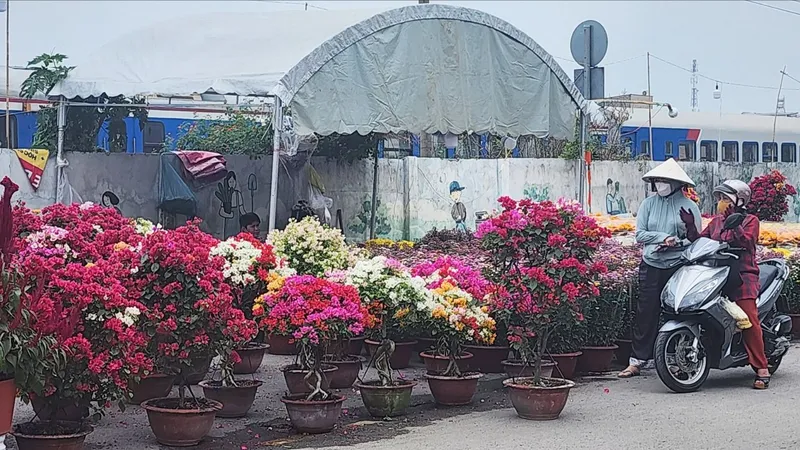 Sôi động thị trường hoa tết