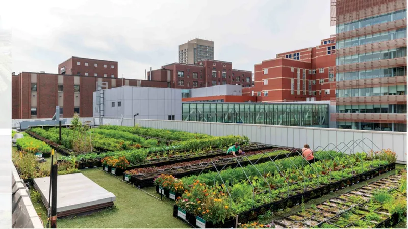 Boston hướng đến quy hoạch bền vững