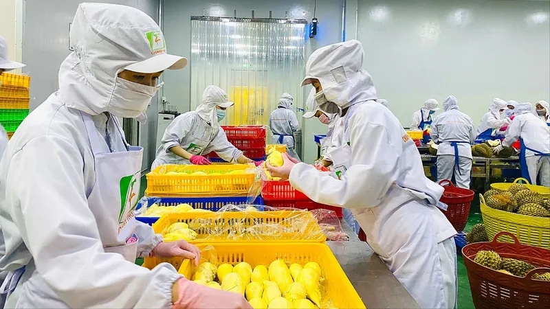 Điểm sáng xuất khẩu nông sản