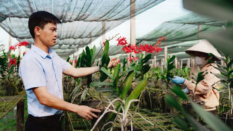 Giải thưởng Sáng tạo TPHCM: Bệ phóng lan tỏa, nối kết - Bài 2: Lan tỏa tinh thần sáng tạo ở mọi lĩnh vực
