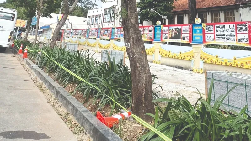 Làm mới vỉa hè, “bức tử” cây xanh