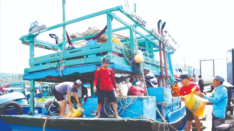 Chống khai thác IUU từ cảng cá - Bài 1: Nghiêm từ bến ra biển