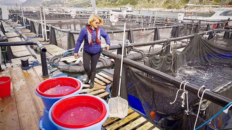 Nỗ lực xóa bất bình đẳng giới về lương