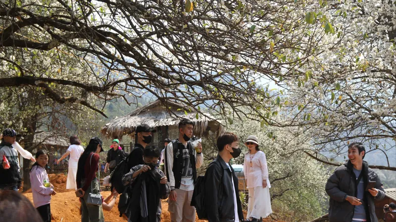 Mùa hoa về - Cơ hội vàng cho du lịch