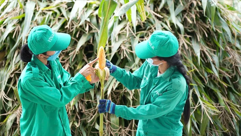 Ứng dụng chuyển đổi số trong phát triển nông nghiệp