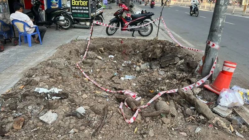 Làm mới vỉa hè, bức tử cây xanh: Đốn hạ 34 cây, xâm hại 324 cây trên địa bàn quận 5