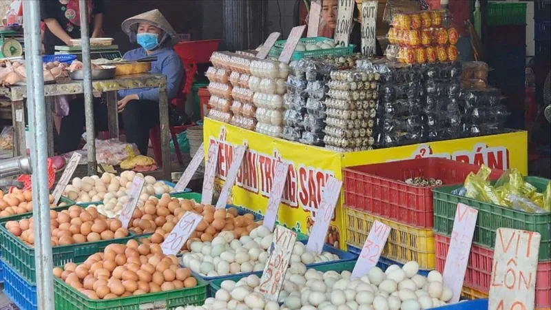 Thông tin thất thiệt về trứng gà giả: Hộ chăn nuôi, trang trại lo… phá đàn