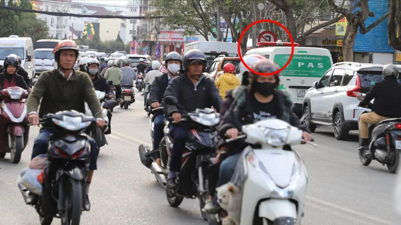 Phường Xuân Hương - Đà Lạt (tỉnh Lâm Đồng): Phương tiện bị phạt nguội tăng cao do biển báo bị che khuất 