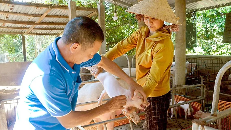  Vừa tiêm vaccine, vừa lo!