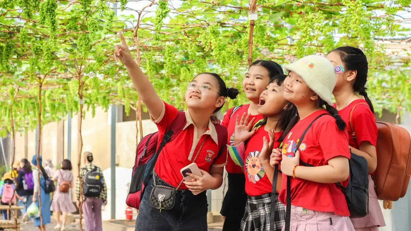 Sản xuất nông nghiệp kết hợp du lịch cộng đồng: Đa dạng trải nghiệm, tiêu dùng xanh