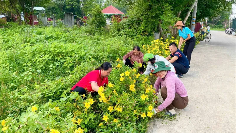 Mặt trận tổ quốc trong lòng dân - Bài 2: Chung tay giữ màu xanh
