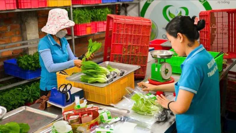 Nông nghiệp đô thị: Ứng dụng công nghệ cao để phát triển bền vững