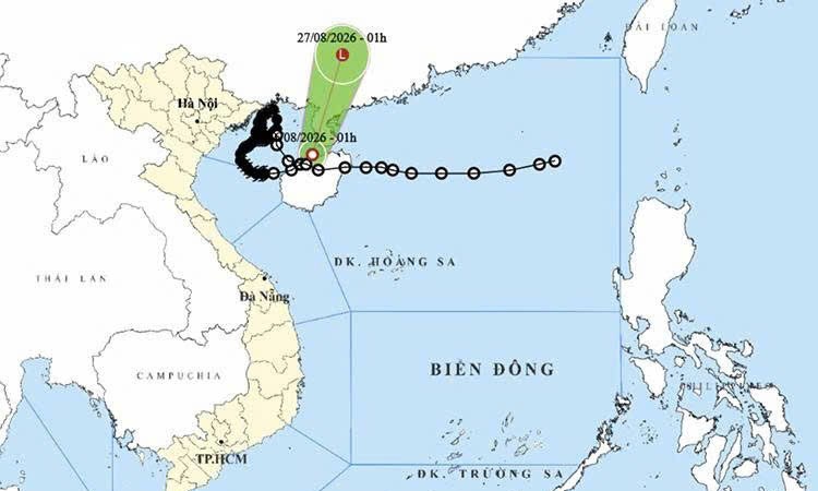 附图。