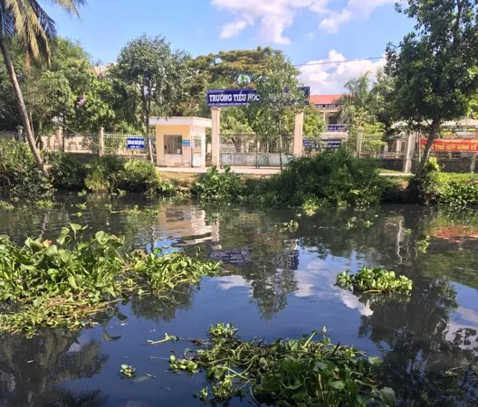 Hậu Giang: Dòng nước đen “bí hiểm” lan rộng