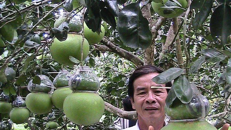 Nhộn nhịp ngày hội Tam nông và sản phẩm làng nghề năm 2019 ở Hậu Giang
