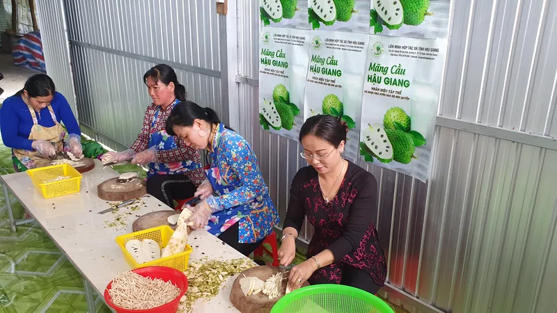 Nhiều mô hình thiết thực giúp phụ nữ khởi nghiệp ở Hậu Giang