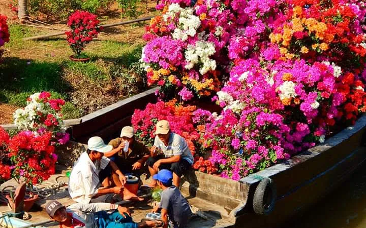 Trái cây tạo hình, hoa kiểng chuẩn bị ra phố chợ ở miền Tây