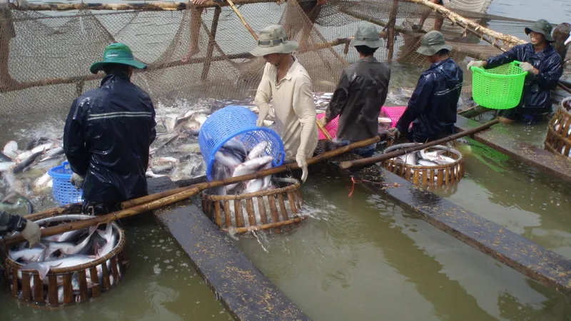 Xuất khẩu tôm và cá tra đang phục hồi, bứt phá ở thị trường Mỹ